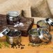 Набір для спецій на магнітній підставці ( магніті) 6 шт Magnetic Spice Rack VEN325 фото 3
