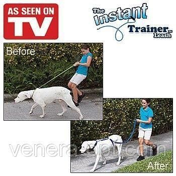 Поводок Для Собак The Instant Trainer Leash более 30 кг B6-24 фото