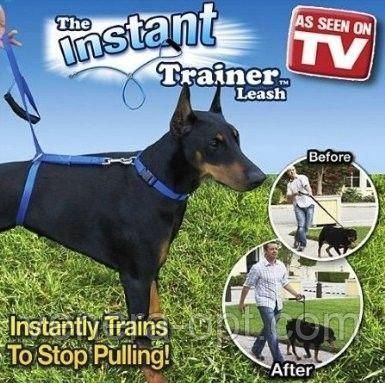 Поводок Для Собак The Instant Trainer Leash более 30 кг B6-24 фото