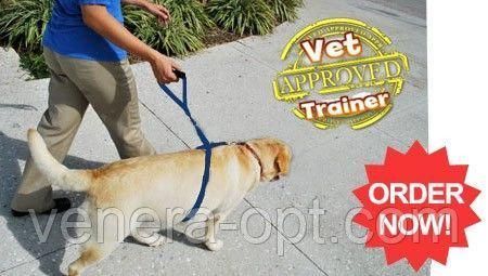 Поводок Для Собак The Instant Trainer Leash более 30 кг B6-24 фото