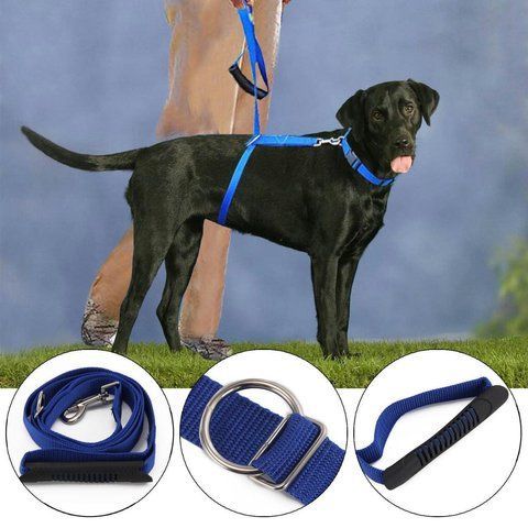 Поводок Для Собак The Instant Trainer Leash более 30 кг B6-24 фото