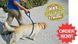 Поводок Для Собак The Instant Trainer Leash более 30 кг B6-24 фото 4