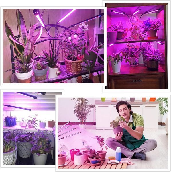 Фито лампа/светильник для выращивания растений FITOLAMP, 4 LED VEN1784light фото