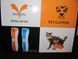 Аккумуляторная машинка триммер для стрижки животных собак и кошек Professional Pet Clipper BZ-806 B19-10 фото 2