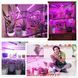 Фито лампа/светильник для выращивания растений FITOLAMP, 4 LED VEN1784light фото 5