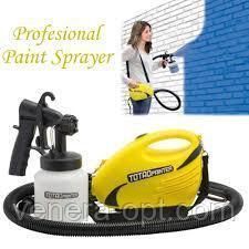 Total Painter 246 фото