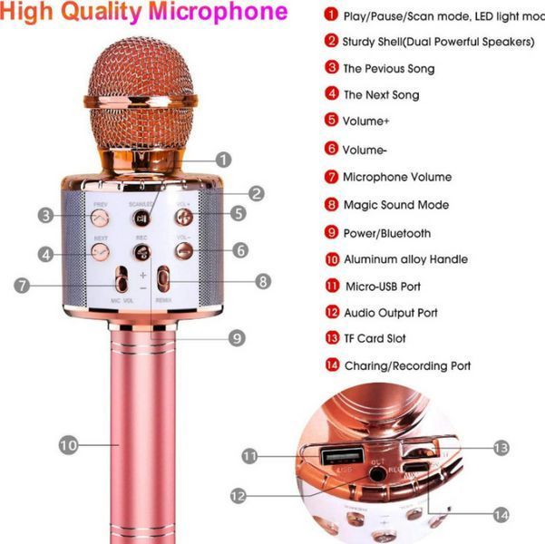 Bluetooth мікрофон-караоке WS-858 з динаміком (колонкою), слотом USB, FM тюнером TV66 фото