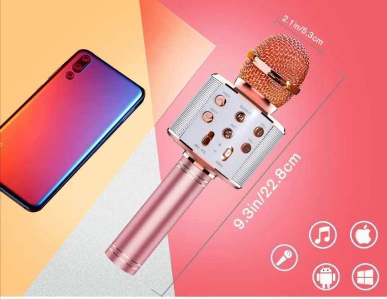Bluetooth мікрофон-караоке WS-858 з динаміком (колонкою), слотом USB, FM тюнером TV66 фото