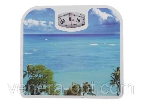 Весы Health Scale B2356 фото