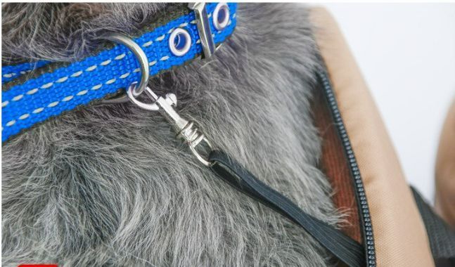 Переноска для кот, собаки сумка Pet Fang мягкая переноски для животных - Маленька DG16S фото