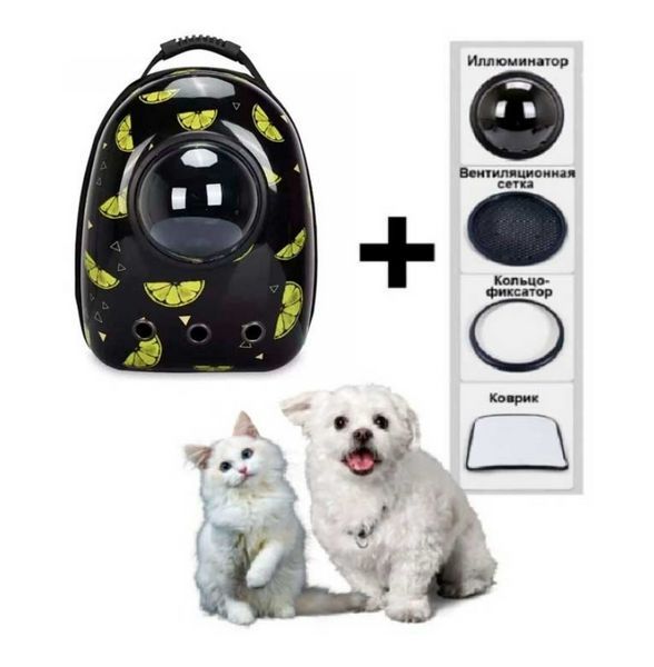 Рюкзак для перенесення тварин з ілюмінатором CosmoPet для кішок і собак DG22 фото