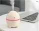 Зволожувач повітря і нічник 2в1 від USB 220 мл Humidifier Polar Bear ( Ведмідь ) HM1 фото 6