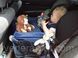 УНИВЕРСАЛЬНЫЙ СТОЛИК ДЛЯ АВТОКРЕСЛА PLAY SNACK TRAY 10-34-2 фото 3