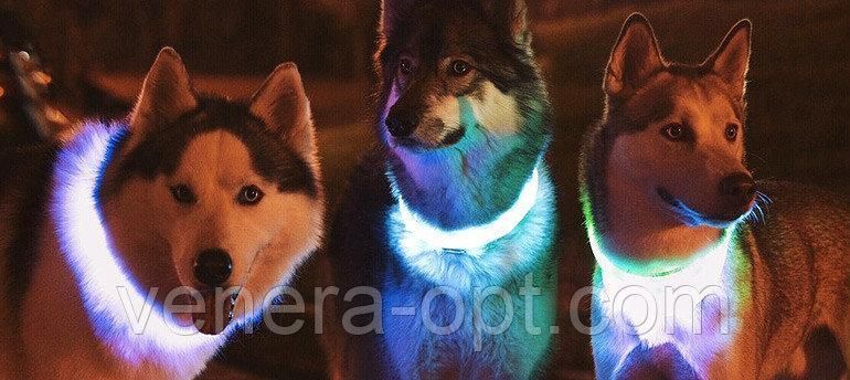 Світиться нашийник для собак у вигляді перлин Pet'a s simulated pearl gleamy necklage B12-47 фото