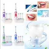 Електрична зубна щітка Electric ToothBrush BR00072 VE72 фото