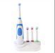 Електрична зубна щітка Electric ToothBrush BR00072 VE72 фото 3
