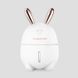 Зволожувач повітря і нічник 2в1 Humidifiers Rabbit кролик зайчик TV410 фото 1