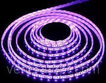 Стрічка світлодіодна LED 3528 RGB 3м 180 LED з пультом і блоком живлення RGB-M фото