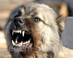 Ультразвуковий відлякувач собак Aokeman sensor Super Ultrasonic dog training AD-100 SH 180Дб 3 в 1 новинка TV-180 фото